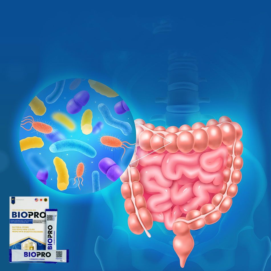 Biopro - ช่วยเสริมสร้างระบบภูมิคุ้มกันในลำไส้